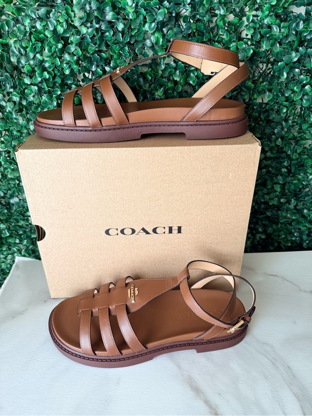 COACH Franny Brown Leather Strappy Gladiator Sandals NIB Size 11
